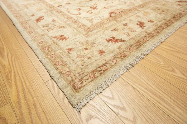 PAK-CHUBI LAHORE 293x203