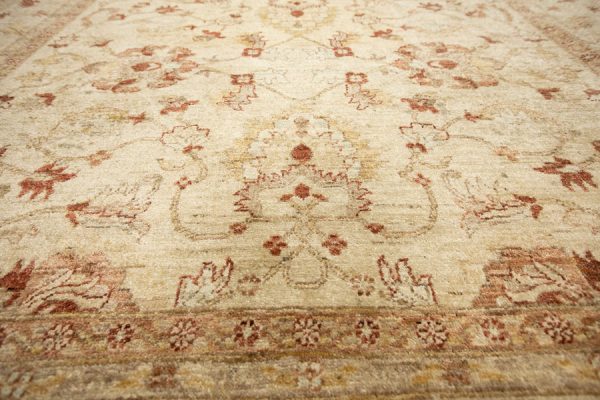 PAK-CHUBI LAHORE 293x203