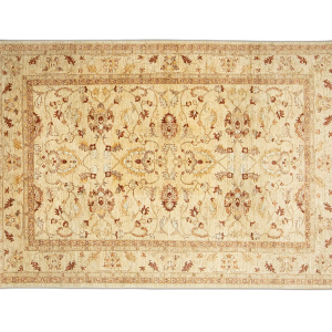 PAK-CHUBI LAHORE 293x203