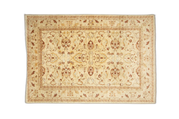 PAK-CHUBI LAHORE 293x203